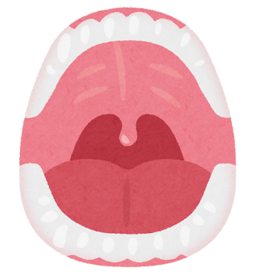 イマイによるセラミックの材質の違いについて🦷